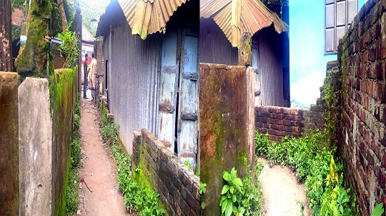 image-here